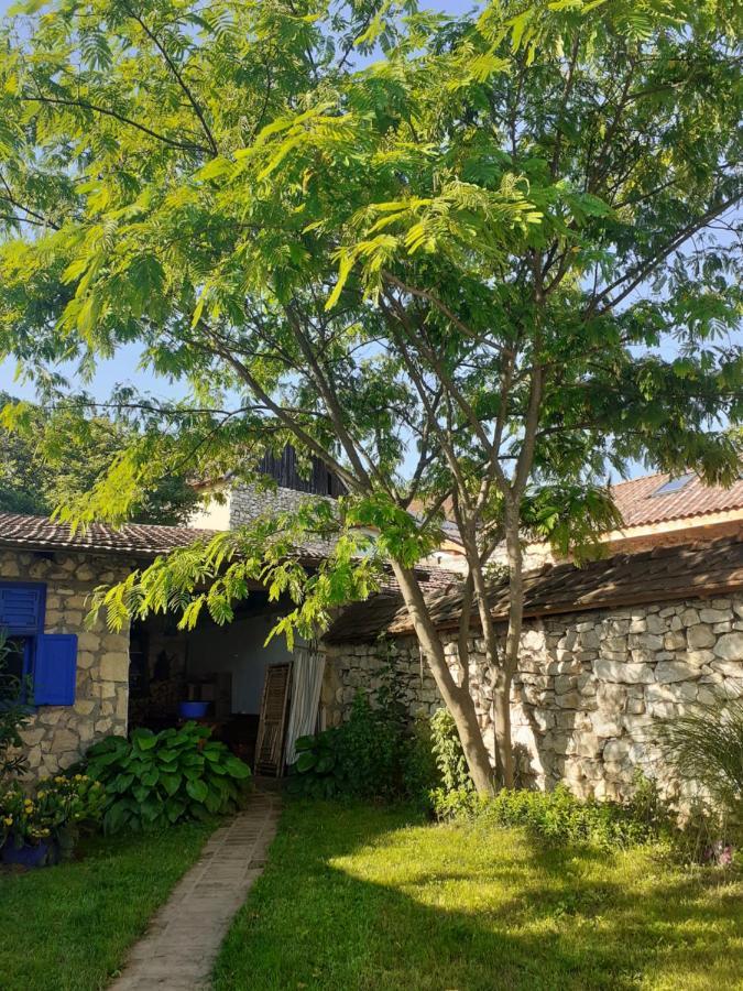 Casa Anca Cheile Nerei Villa Socolari Luaran gambar