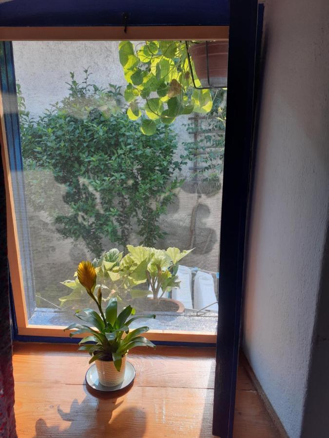 Casa Anca Cheile Nerei Villa Socolari Luaran gambar