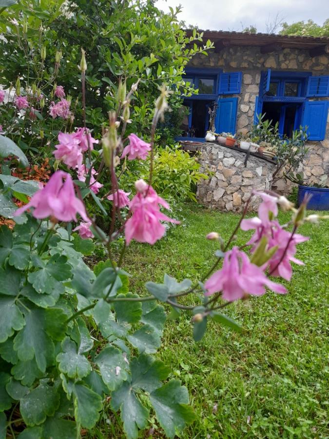 Casa Anca Cheile Nerei Villa Socolari Luaran gambar