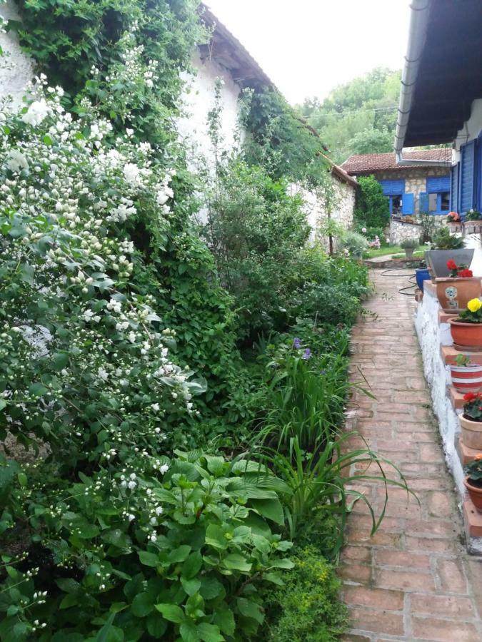 Casa Anca Cheile Nerei Villa Socolari Luaran gambar