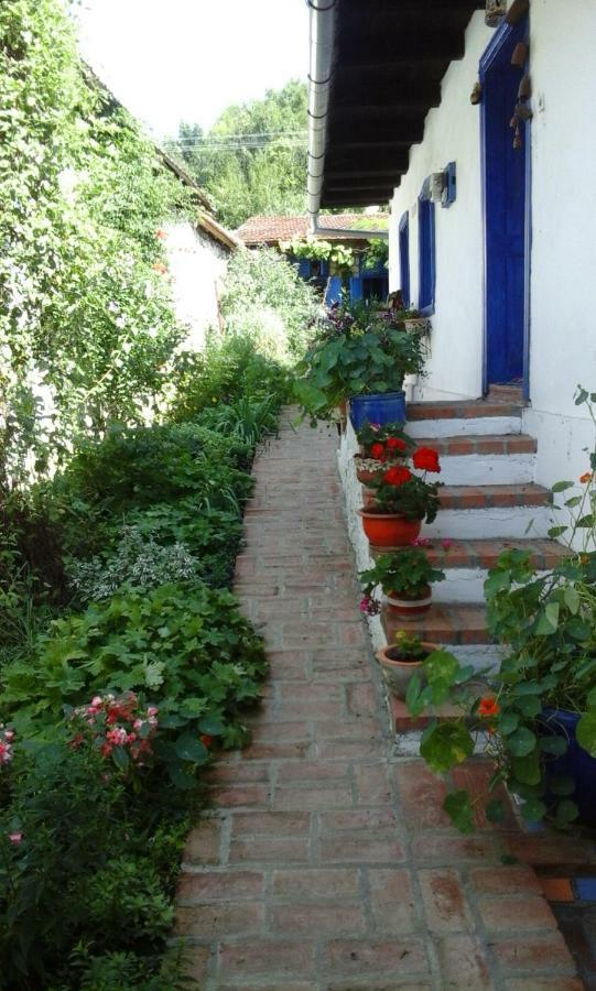 Casa Anca Cheile Nerei Villa Socolari Luaran gambar