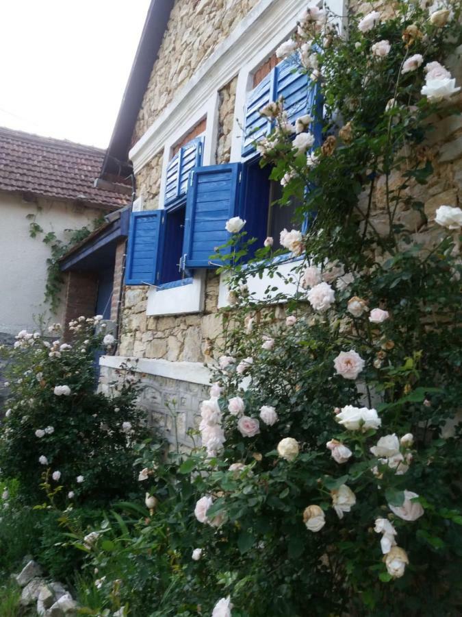 Casa Anca Cheile Nerei Villa Socolari Luaran gambar