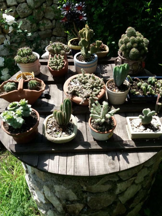 Casa Anca Cheile Nerei Villa Socolari Luaran gambar