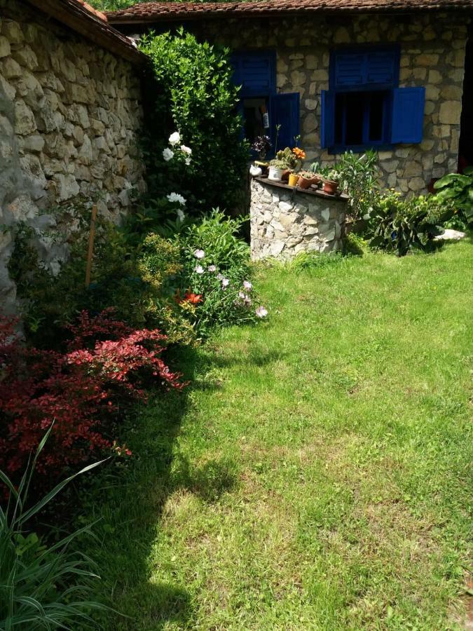 Casa Anca Cheile Nerei Villa Socolari Luaran gambar