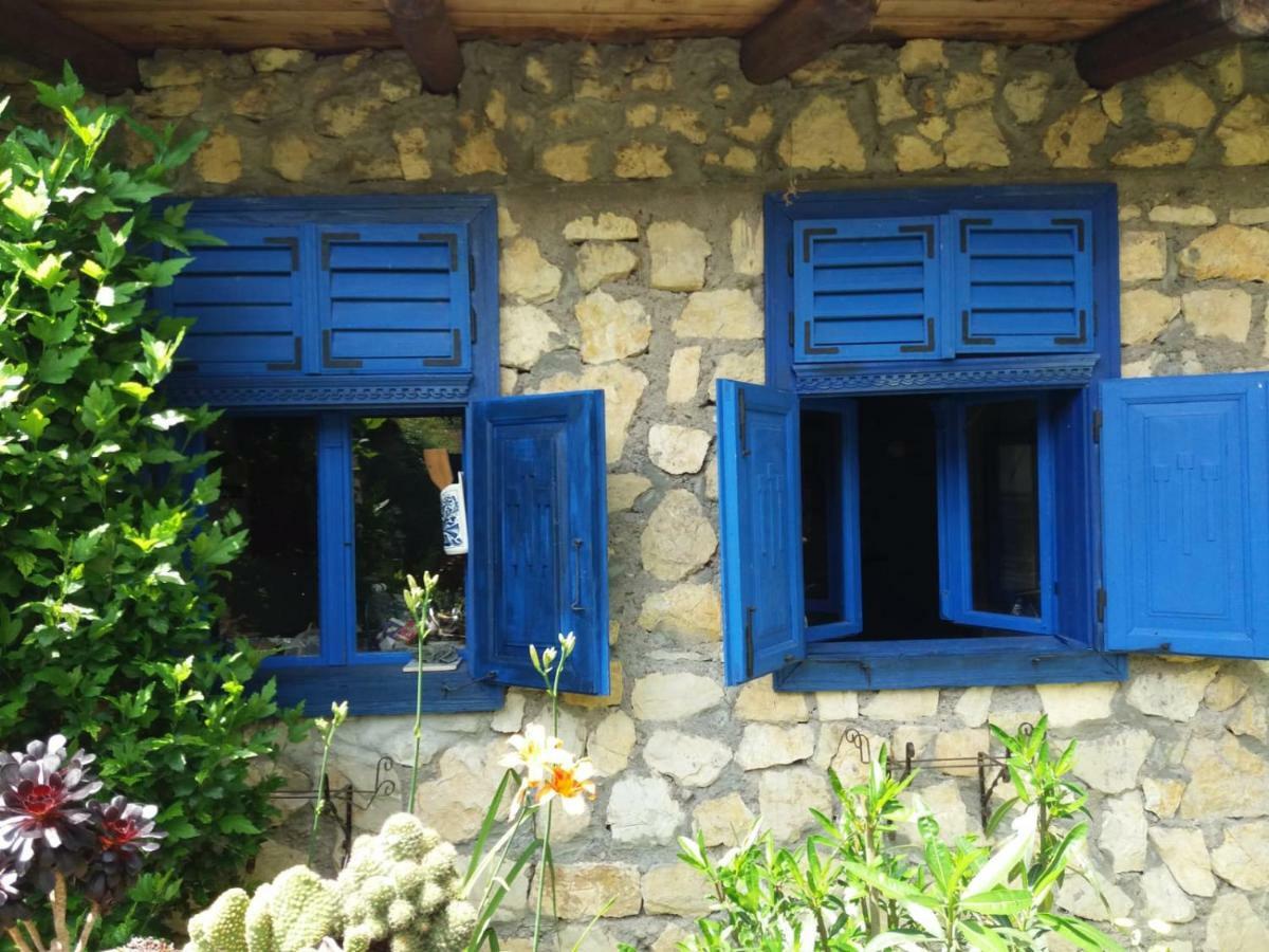 Casa Anca Cheile Nerei Villa Socolari Luaran gambar